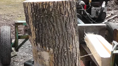 [Hearth.com] Wood ID for a Rookie?