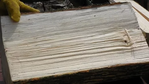 [Hearth.com] Wood ID for a Rookie?