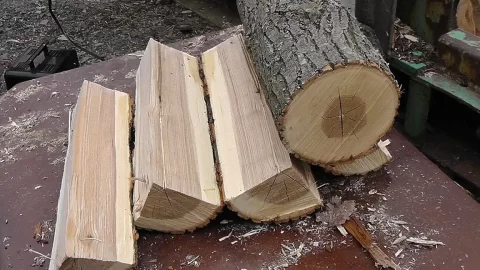 [Hearth.com] Wood ID for a Rookie?