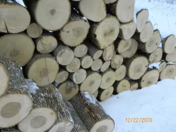 [Hearth.com] Wood ID for a Rookie?