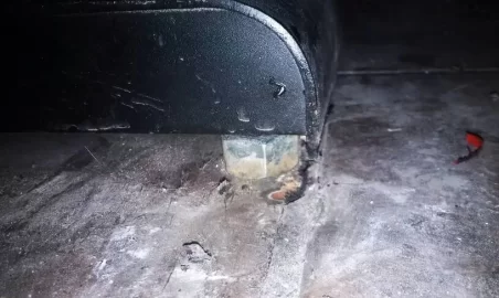 [Hearth.com] Nutty solution?