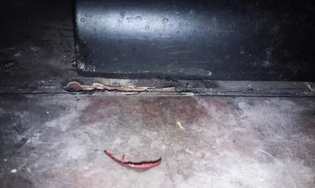 [Hearth.com] Nutty solution?