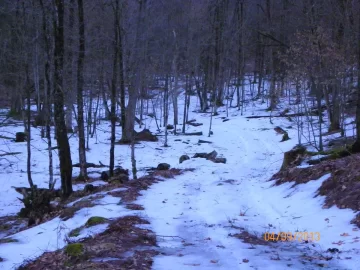 [Hearth.com] Gunner Hill