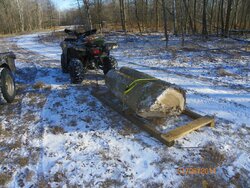 Timber Cleanup/Log Storage ?'s
