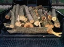 [Hearth.com] Newbie...(pics)