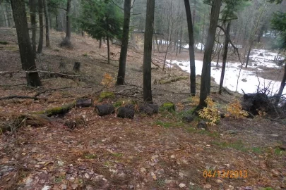 [Hearth.com] New Trail