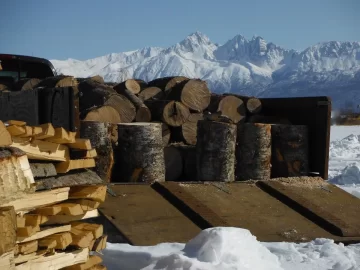 [Hearth.com] Spruce, birch, cottonwood scrounge