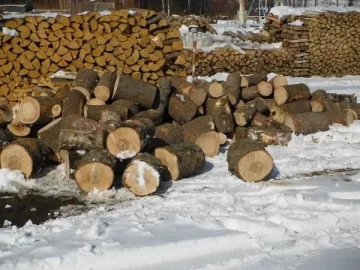 [Hearth.com] Spruce, birch, cottonwood scrounge
