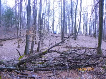 [Hearth.com] New Trail