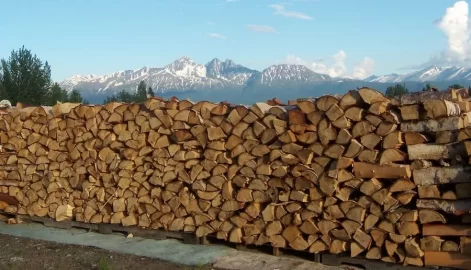 [Hearth.com] Spruce, birch, cottonwood scrounge