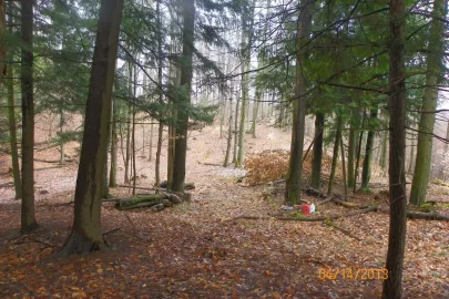[Hearth.com] Trail Cleared