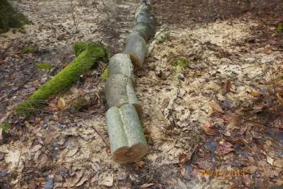 [Hearth.com] Trail Cleared