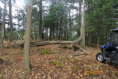 [Hearth.com] Trail Cleared