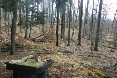 [Hearth.com] Trail Cleared