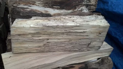 [Hearth.com] Partially rotted wood??