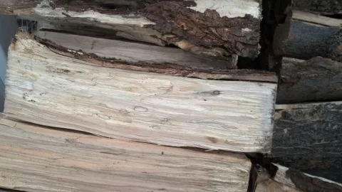[Hearth.com] Partially rotted wood??