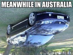 meanwhile-in-australia.jpg