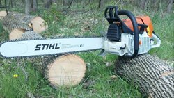 Let's see some chainsaw pics