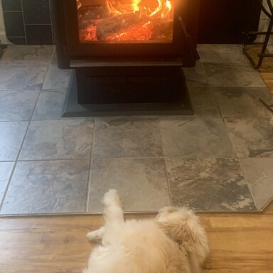 Stove Noises | Hearth.com Forums Home