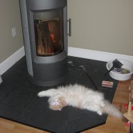 Hearthstone / Hase Bari | Hearth.com Forums Home