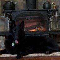 Defiant Encore ?1450? (non-cat) repair? | Hearth.com Forums Home