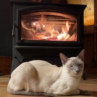 Reasonable price for used Jotul F600? | Hearth.com Forums Home