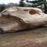 DriftWood