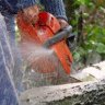 SawDust75