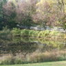 black_pond