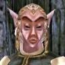 the_highest_elf