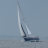 PolarLoon