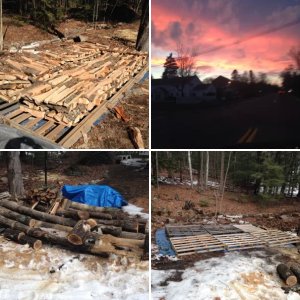 Wood piles