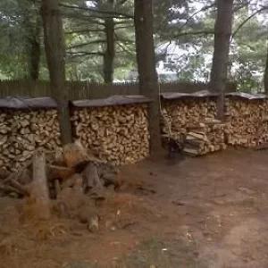 WOOD-PILE II (1)