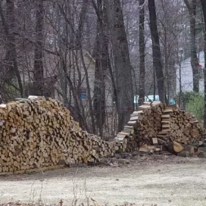 Woodpile5