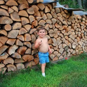 Woodpile23