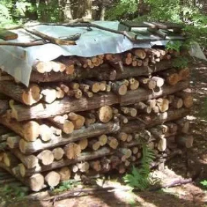 Woodpile66