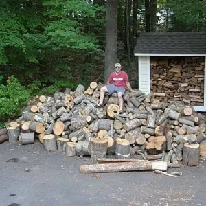 Woodpile651