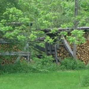 Wooddrying