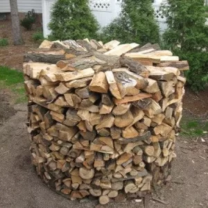 Holz30001