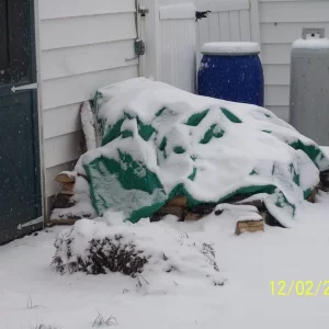 Outside Wood Pile