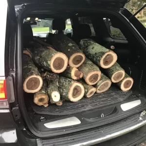 Free wood