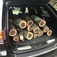 Free wood