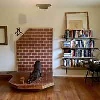 Old hearth and a dog