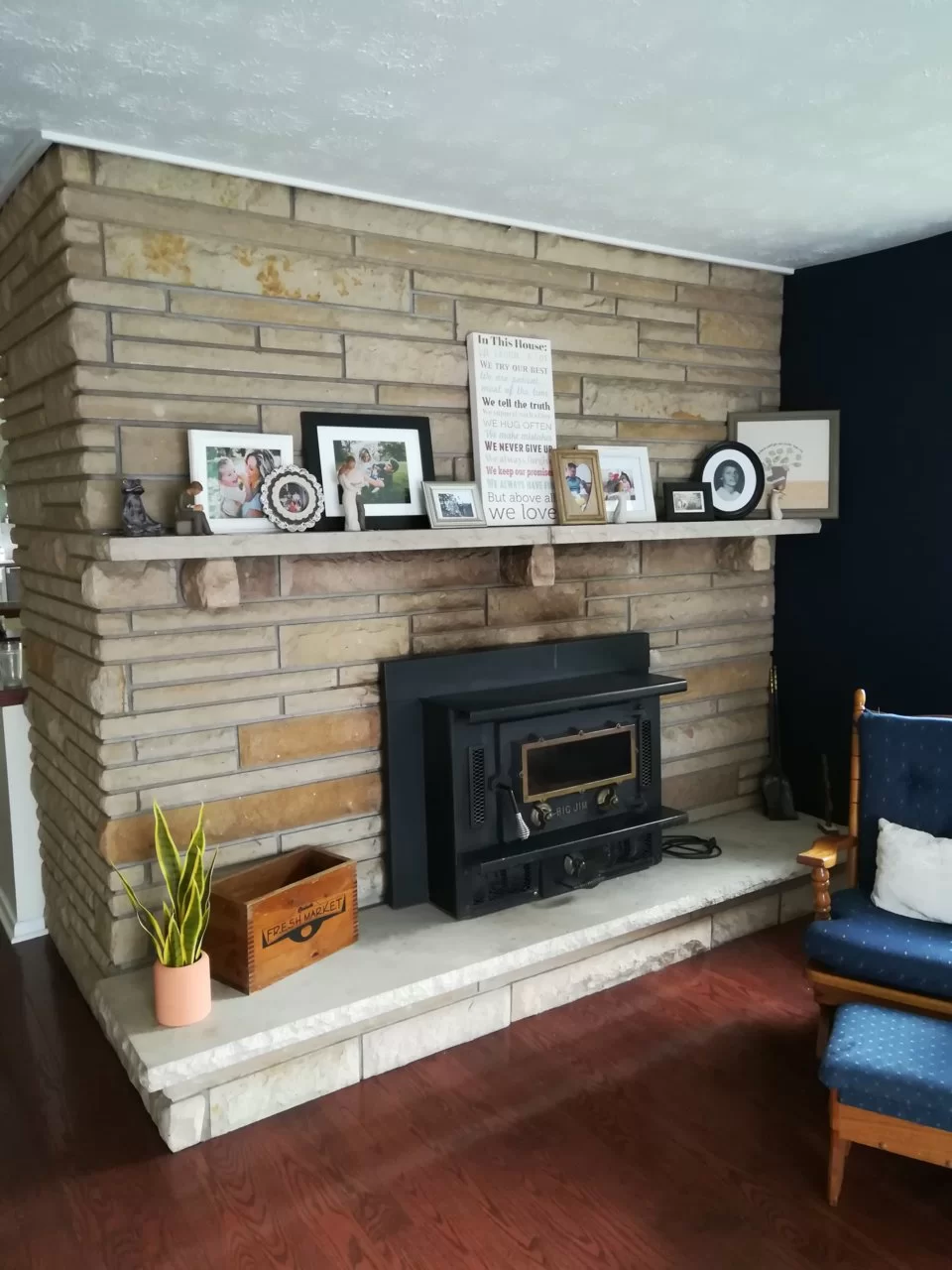 Big Jim Fireplace insert