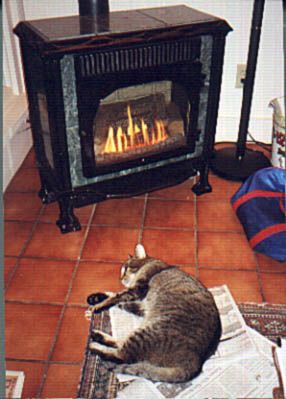 Cat-stove