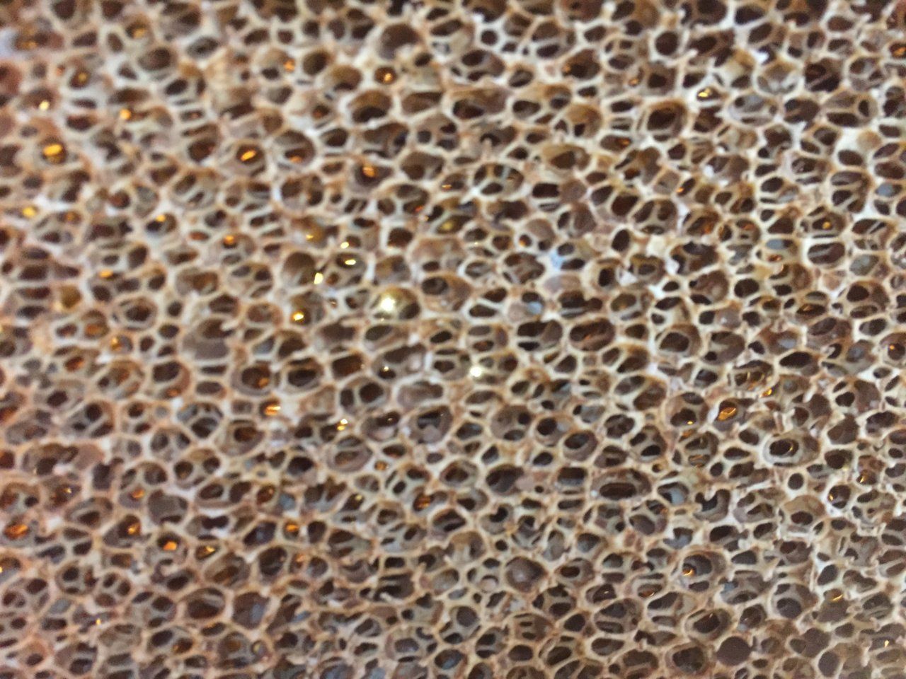 Close up of Reticulated Ceramic foam Catalyst