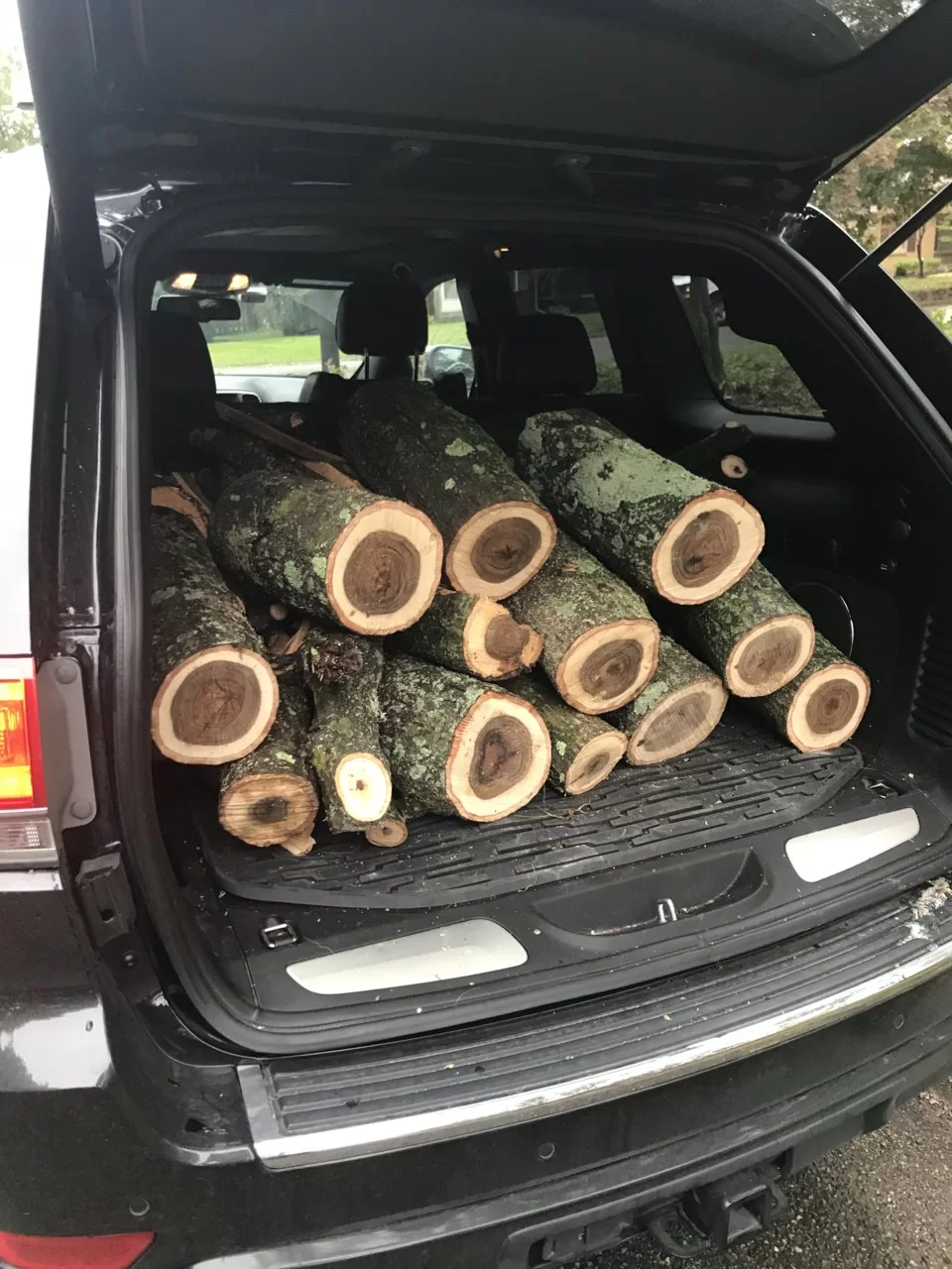 Free wood