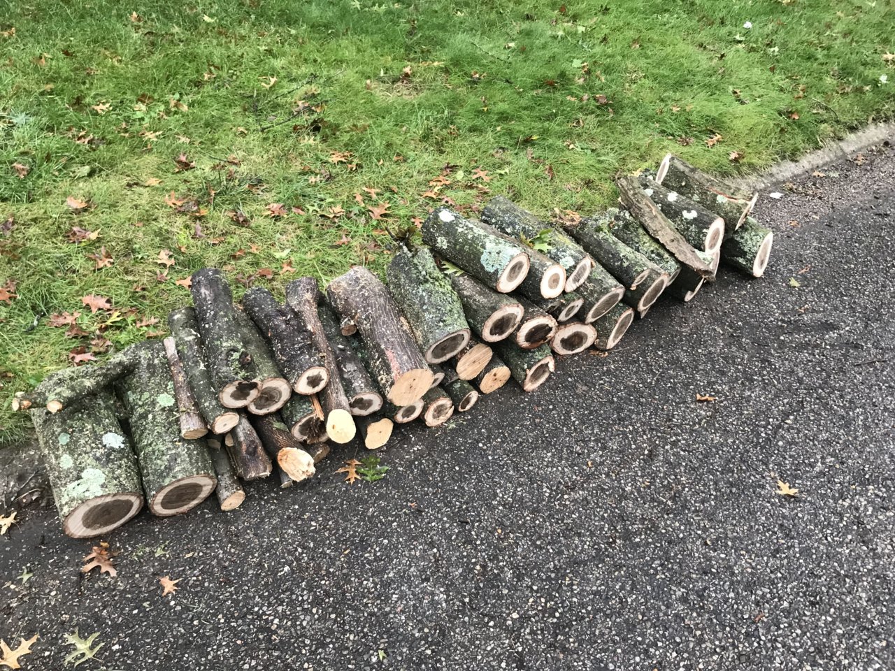 Free wood