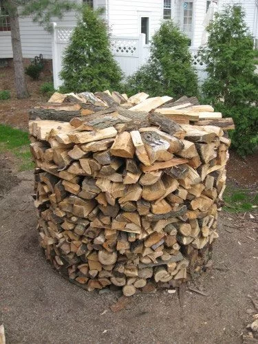 Holz30001