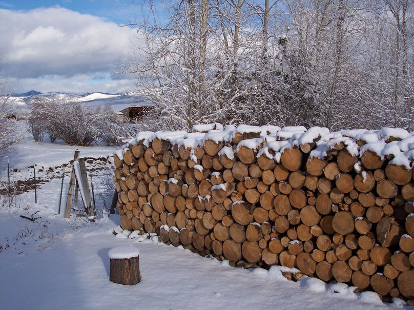 Wood-Pile-002